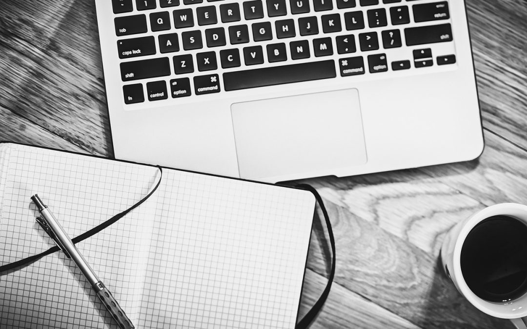 Was leistet Netsuite und wie hat es sich entwickelt?